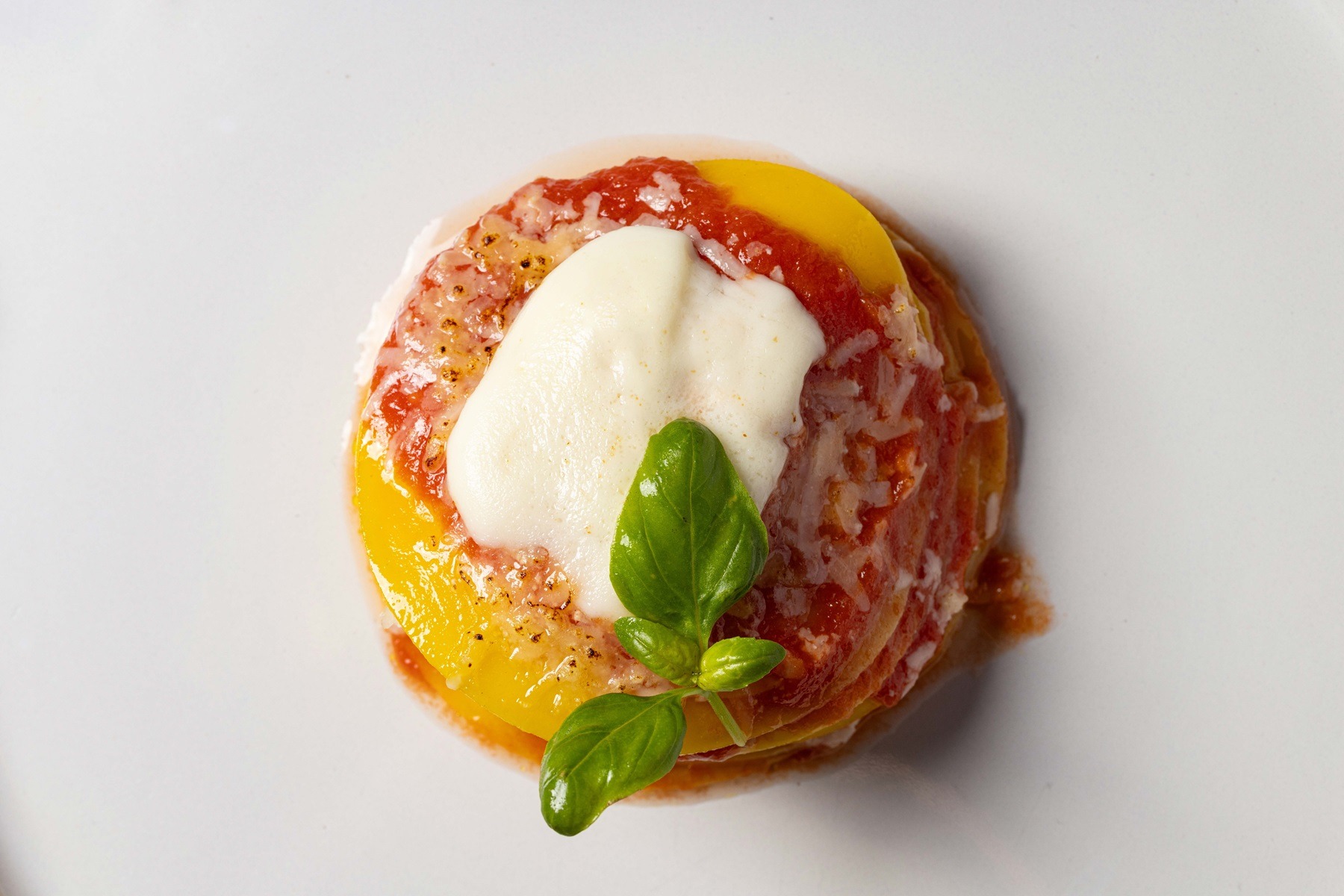 Lasagna with spelt flour, tomato passata sauce and mozzarella cheese